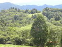 茶臼山６