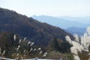 茶臼山２５