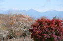 茶臼山４５