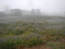 茶臼山２０
