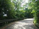 ふるさと公園６