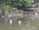 ふるさと公園５