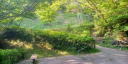 ふるさと公園２