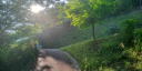 ふるさと公園３