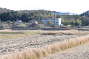 羽根・長根の田んぼ１７