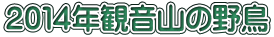 QOPSNωR̖쒹