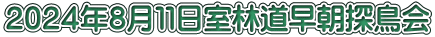 ２０２４年８月１１日室林道早朝探鳥会