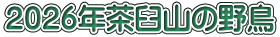 ２０２６年茶臼山の野鳥