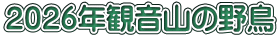 ２０２６年観音山の野鳥