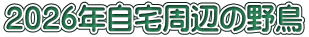 ２０２６年自宅周辺の野鳥
