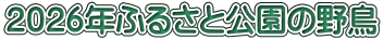 ２０２６年ふるさと公園の野鳥