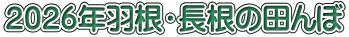 ２０２６年羽根・長根の田んぼ