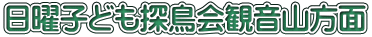 日曜子ども探鳥会観音山方面
