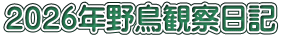 ２０２６年野鳥観察日記