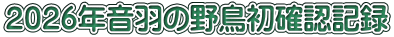 ２０２６年音羽の野鳥初確認記録