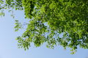 室林道１５