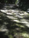 室林道１４
