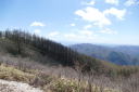 高嶺８