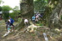 宮路山探鳥会４