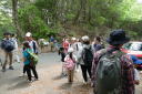 宮路山探鳥会９