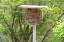 探鳥会１４
