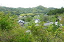 探鳥会１６