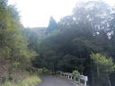 寺ノ入林道７