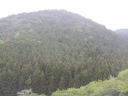 寺ノ入林道１０